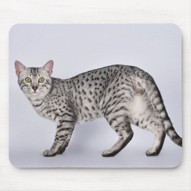Tapis De Souris Chat Mau Égyptien Rare (Devant)