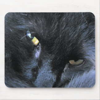 Tapis De Souris Chat mauvais Mousepad