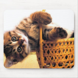 Tapis De Souris Chat mignon