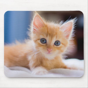 Tapis De Souris Chat mignon avec des yeux bleus