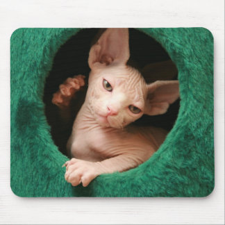 Tapis De Souris Chat Mousepad | GoSphynx.com de Sphynx