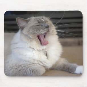 Tapis De Souris chat Neva Masquerade bâillant