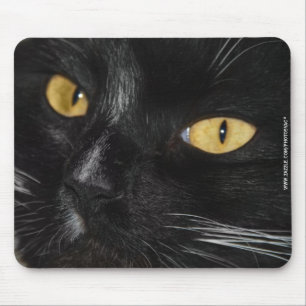 Tapis De Souris Chat noir