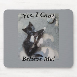 Tapis De Souris Chat Noir Avec Souris Personnalisable Chat Photo D