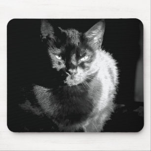 Tapis De Souris Chat noir brillant