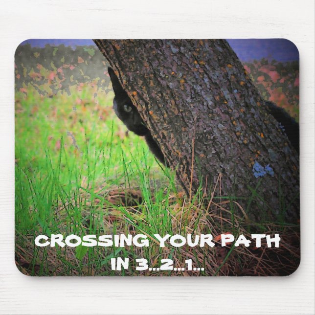 Tapis De Souris Chat noir croisant votre chemin dans 3… 2… 1… Meme (Devant)