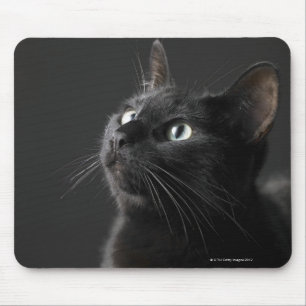 Tapis De Souris Chat noir sur le fond noir, plan rapproché