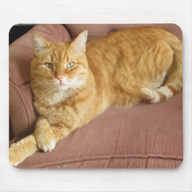 Tapis De Souris chat orange (Devant)