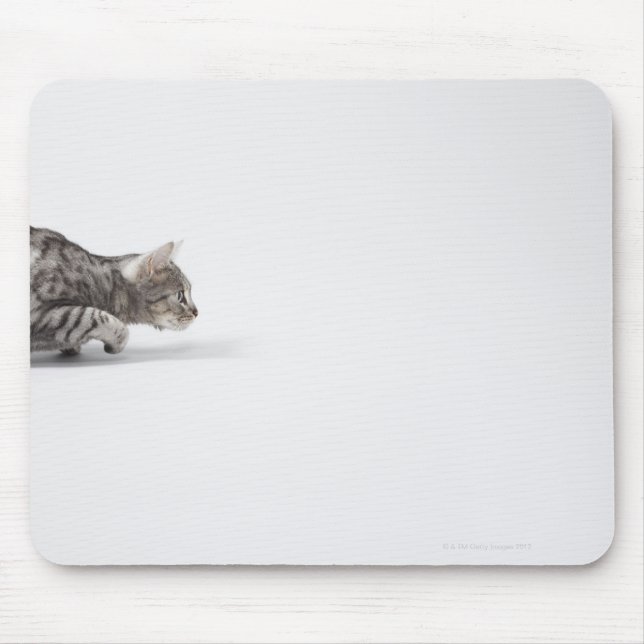 Tapis De Souris Chat prêt à rebondir (Devant)