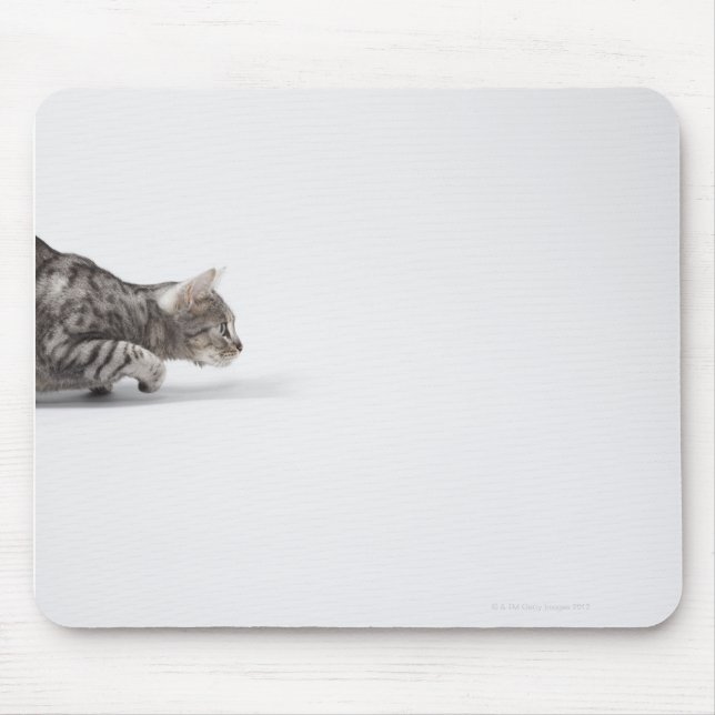Tapis De Souris Chat prêt à rebondir (Devant)