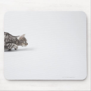 Tapis De Souris Chat prêt à sauter
