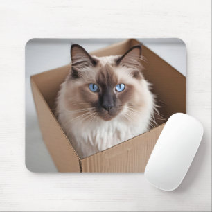 Tapis De Souris Chat Ragdoll Dans Boîte En Carton