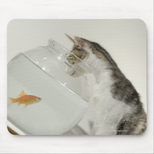 Tapis De Souris Chat regardant des poissons dans le bocal à