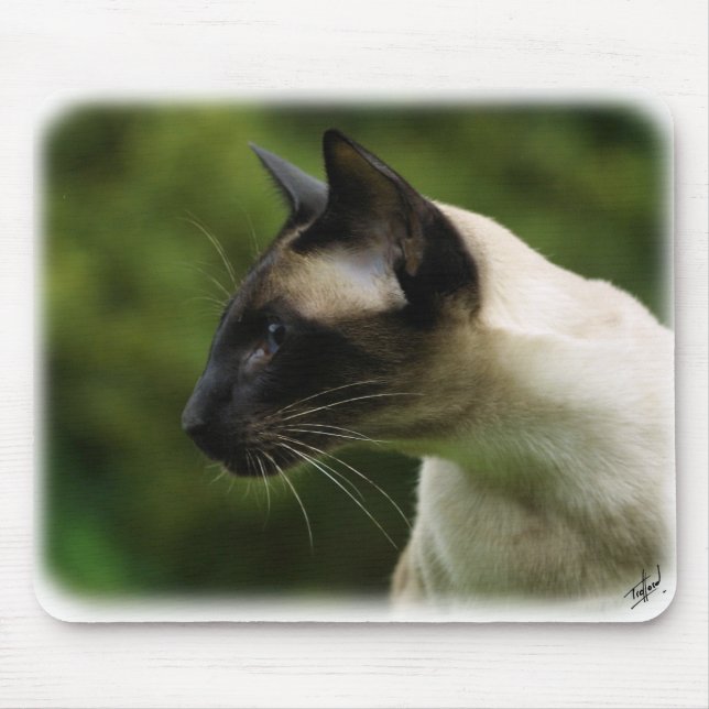 Tapis De Souris Chat siamois 9W027D-128 (Devant)