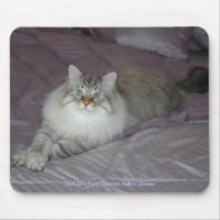 Chat sibérien Mousepad