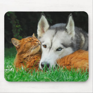 Tapis De Souris chat somalien et Husky sibérien de mignons amis en
