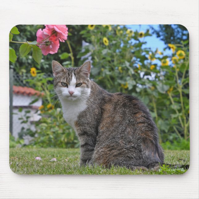 Tapis De Souris chat tabby dans le jardin (Devant)
