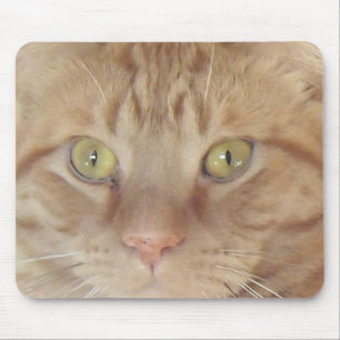 Tapis De Souris Chat Tabby Orange