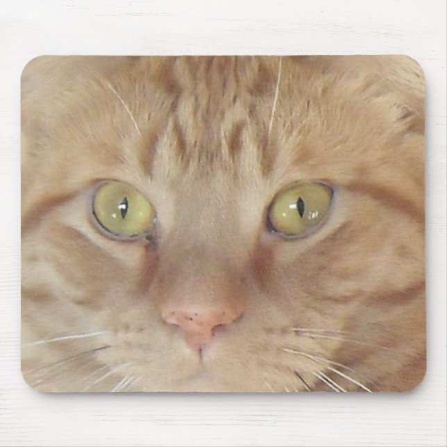 Tapis De Souris Chat Tabby Orange (Devant)
