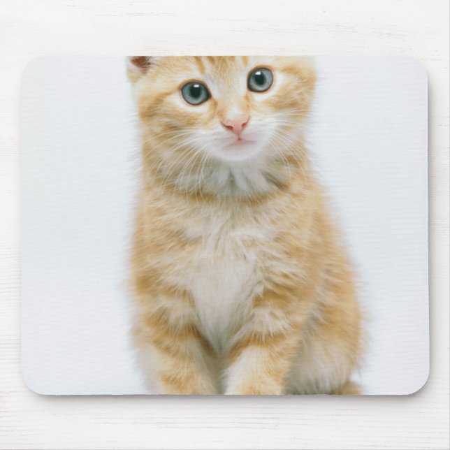 Tapis De Souris Chat tigré d'orange douce (Devant)