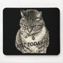 Chat tigré "Humeur" "PAS AUJOURD'HUI"