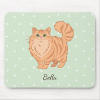 Chat Tigré Orange à Poils Longs Personnalisé