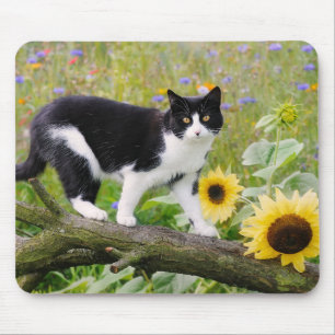 Tapis De Souris Chat tuxedo mignon sur une branche d'arbre avec de