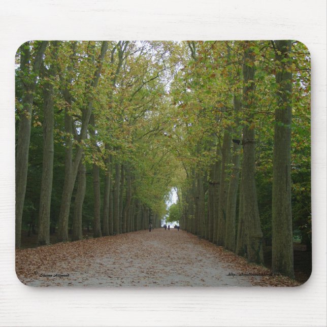 Tapis De Souris Chateau de Chenonceau Mousepad (Devant)