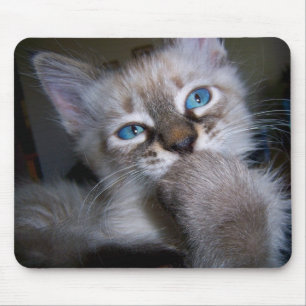 Tapis De Souris Chaton aux yeux bleus Mousepad de penseur