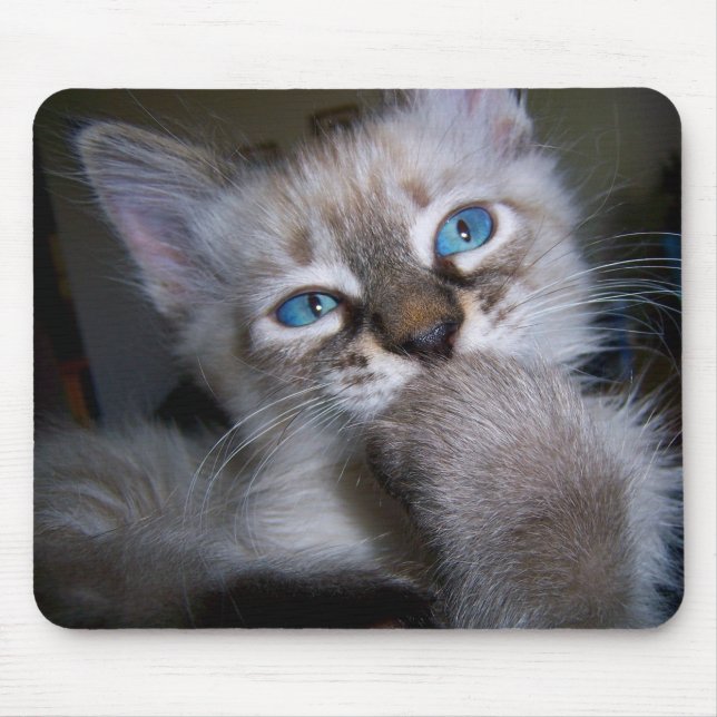 Tapis De Souris Chaton aux yeux bleus Mousepad de penseur (Devant)