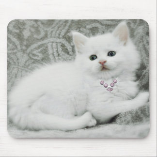 Tapis De Souris Chaton blanc