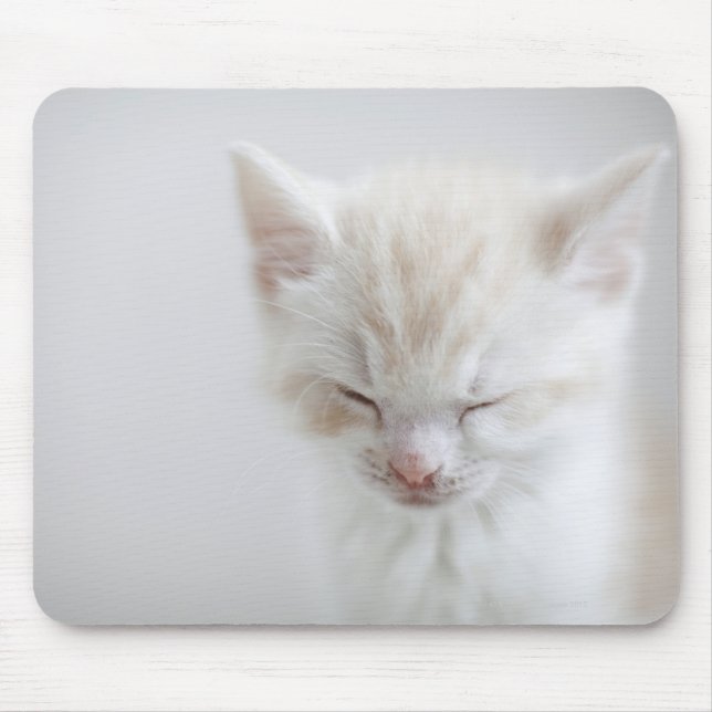 Tapis De Souris Chaton blanc dormant (Devant)