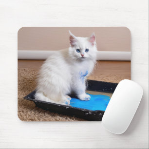 Tapis De Souris Chaton Blanc En Bac À Peinture