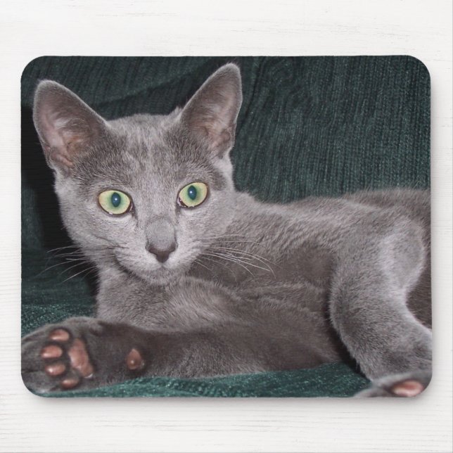 Tapis De Souris Chaton bleu russe Mousepad (Devant)