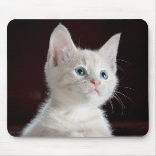 Tapis De Souris Chaton Cutie