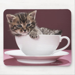 Tapis De Souris Chaton dans la tasse et soucoupe
