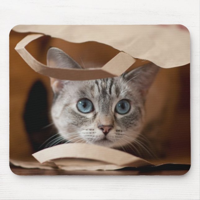 Tapis De Souris Chaton dans le sac d'épicerie (Devant)