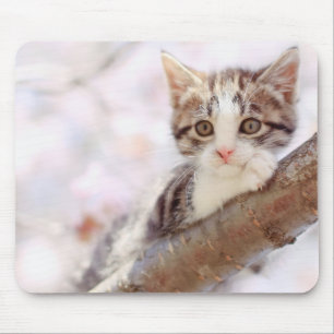 Tapis De Souris Chaton dans un arbre