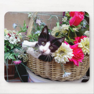 Tapis De Souris Chaton dans un panier