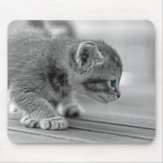 Tapis De Souris Chaton de acroupissement