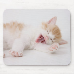 Tapis De Souris Chaton de baîllement sur le fond blanc