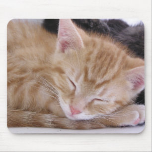 Tapis De Souris Chaton de sommeil