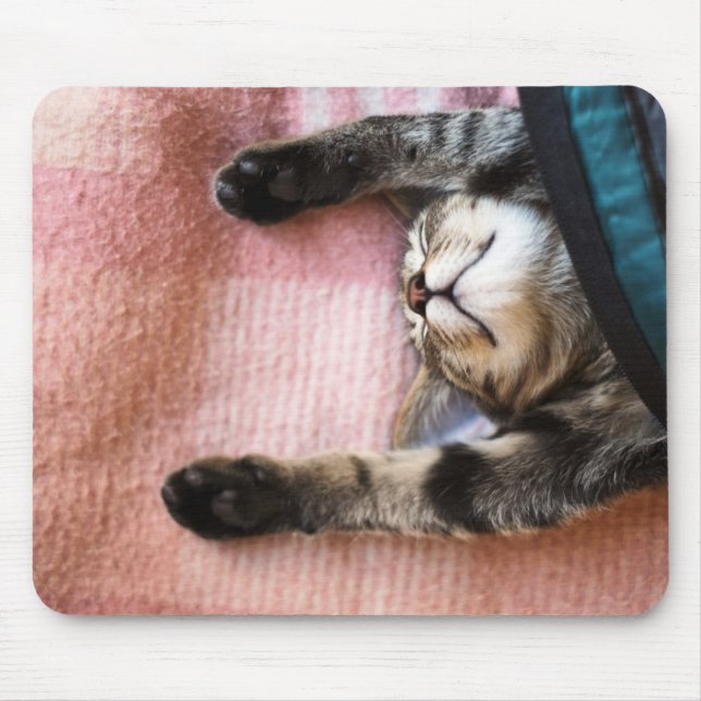 Tapis De Souris Chaton de sommeiller (Devant)