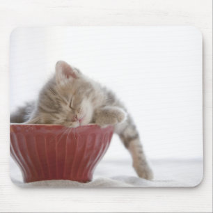 Tapis De Souris Chaton dormant dans la cuvette