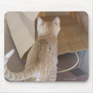 Tapis De Souris Chaton examinant l'abîme d'un sac