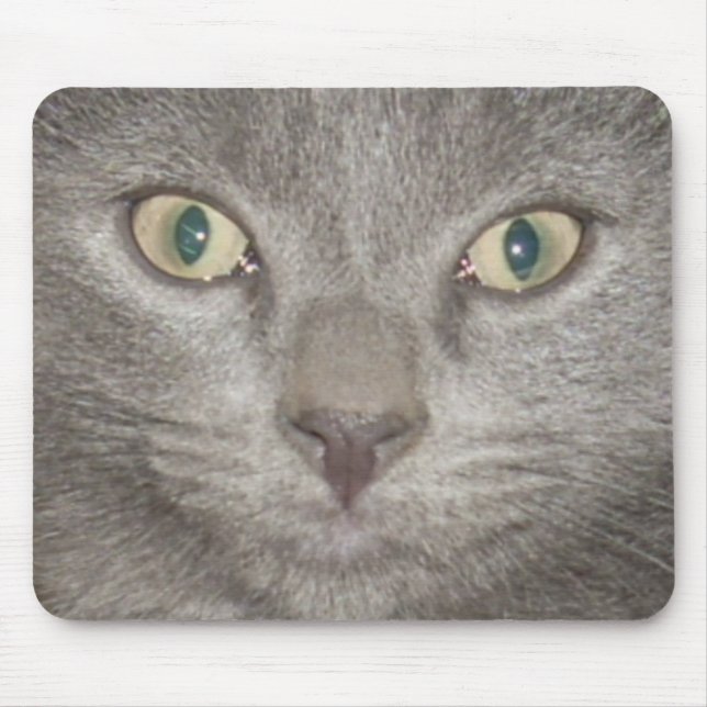 Tapis De Souris chaton face2 mousepad -gris (Devant)