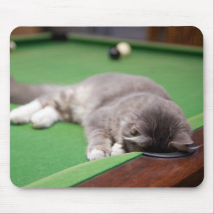Tapis De Souris Chaton jouant la piscine