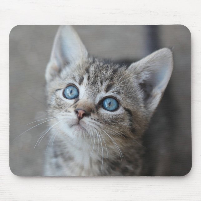 Tapis De Souris Chaton mignon dans le jardin (Devant)