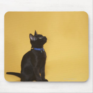 Tapis De Souris Chaton noir dans le collier