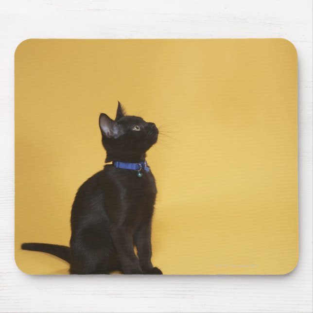Tapis De Souris Chaton noir en col (Devant)